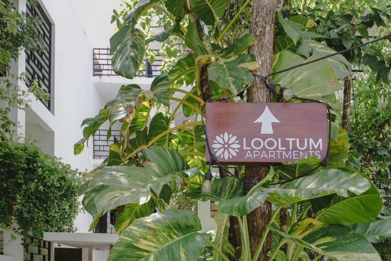 Lumina At Looltum Tulum Leilighet Eksteriør bilde